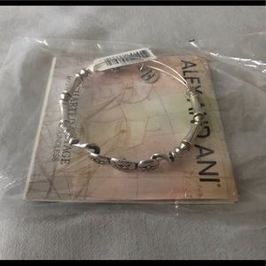 Alex and Ani Sand Dollar Horizontal Bangle